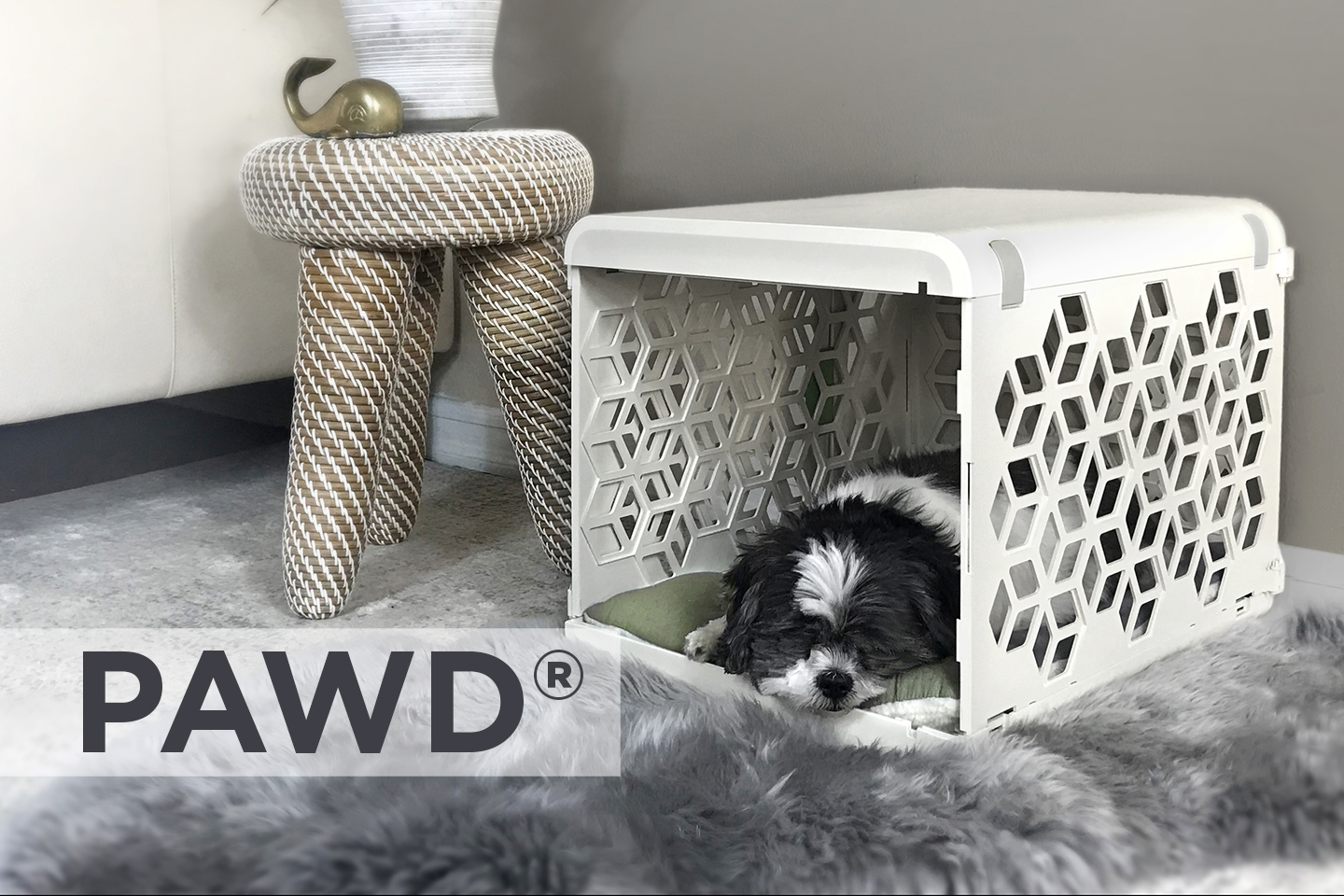 PAWD - Pet Space Reinvented