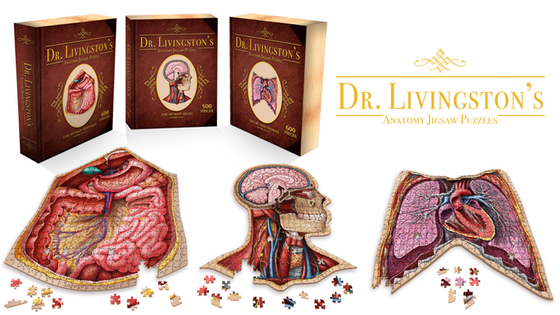 Human Anatomy Jigsaw Puzzles: Real Biology, Larger-Than-Life