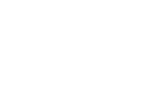 Company logo image