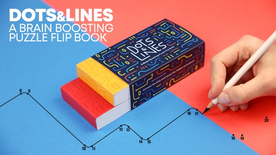 Dots & Lines - a Brain Boosting Puzzle Flip Book