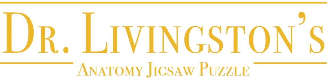 Project text logo
