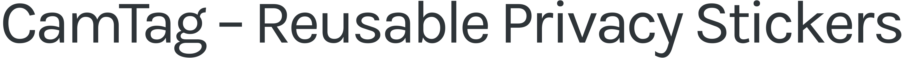 Project text logo