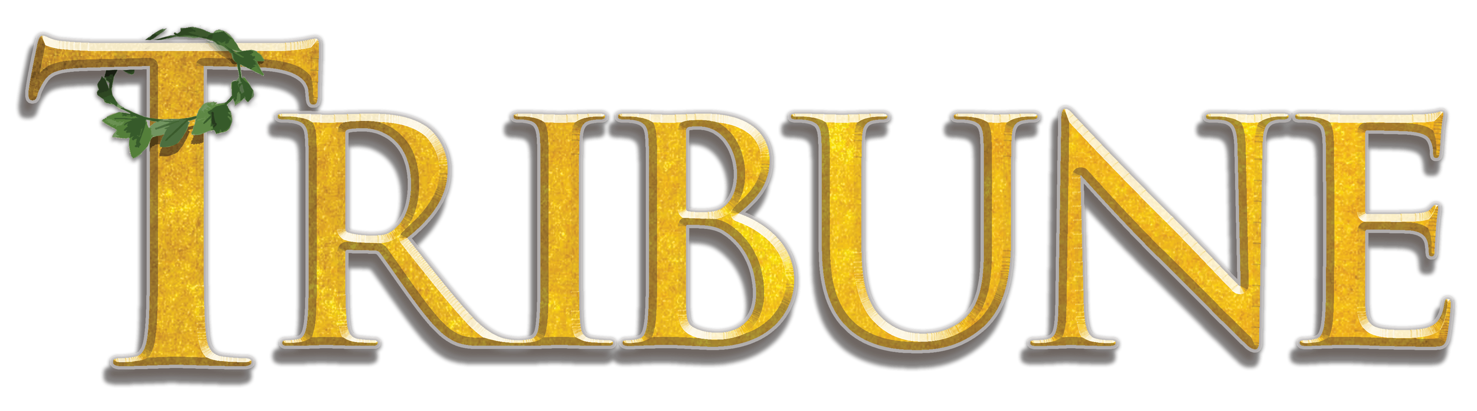 Project text logo
