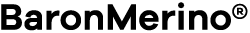 Company logo image