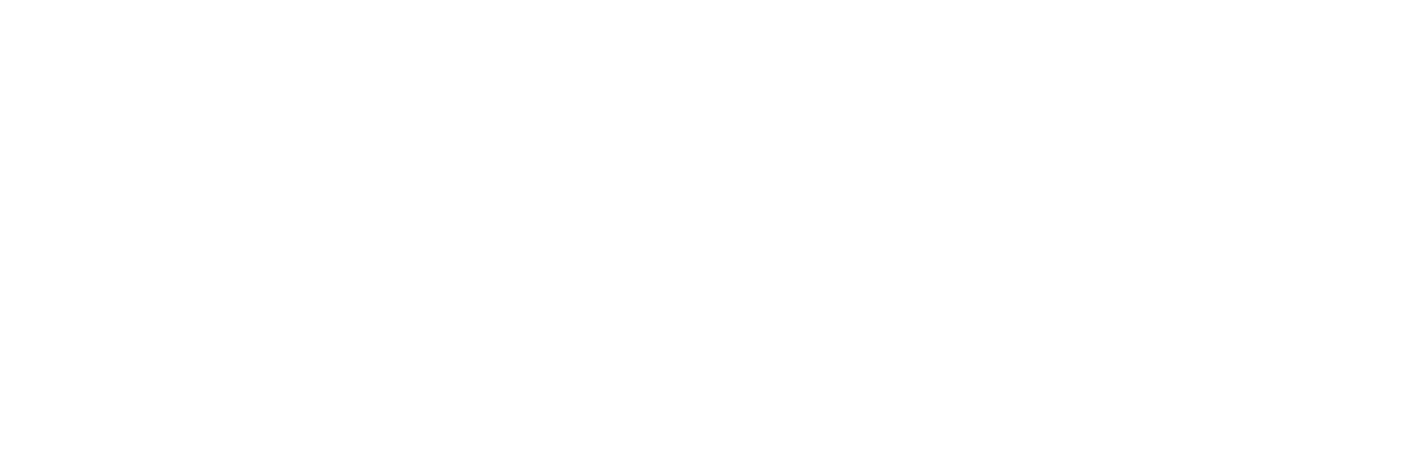 Project text logo