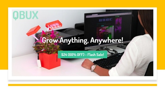 ⏹ QBUX: Grow Anything, Anywhere! ⏹