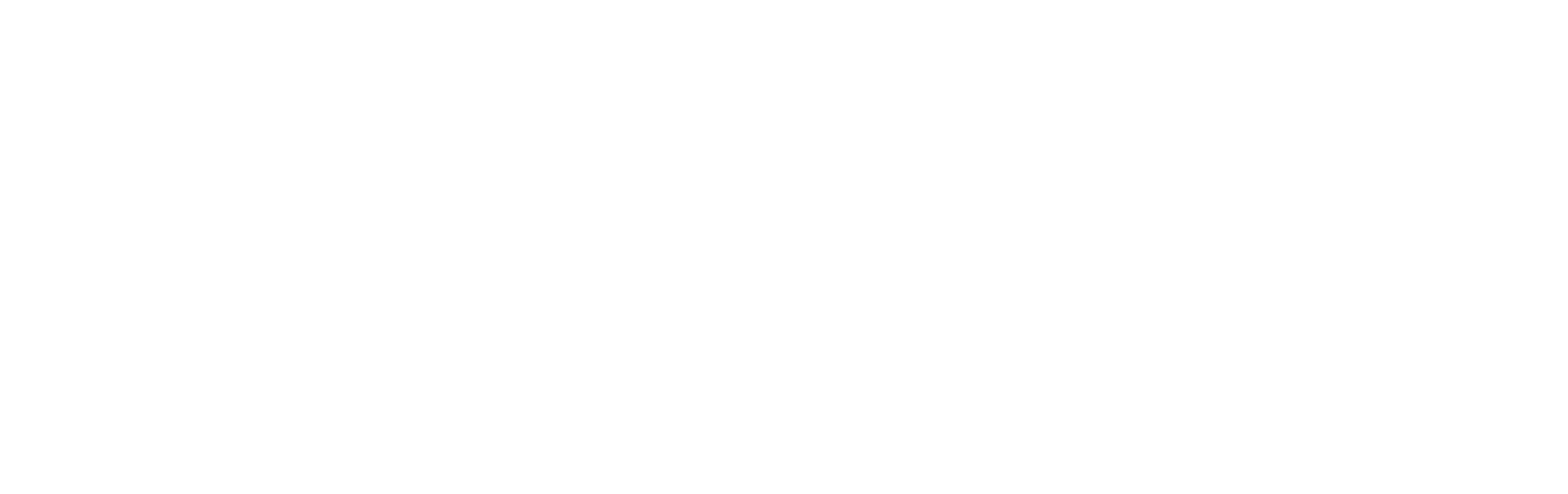 Project text logo