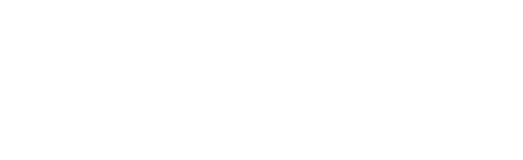 Project text logo